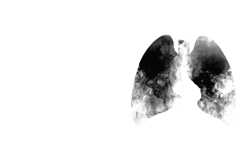 ecommerce vape product image seo best practices 6 Best eCig & Vaping eCommerce Themes & Templates 2026
